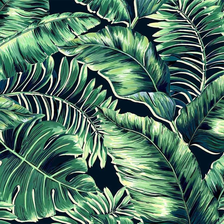 邦楽 D-DAY / ALL LEAVES Brand Mckenzie Tropical Daze Banana Leaves Standard BMTD001